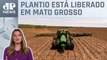 Kellen Severo: Plantio da safra de soja 23/24 começa no Brasil
