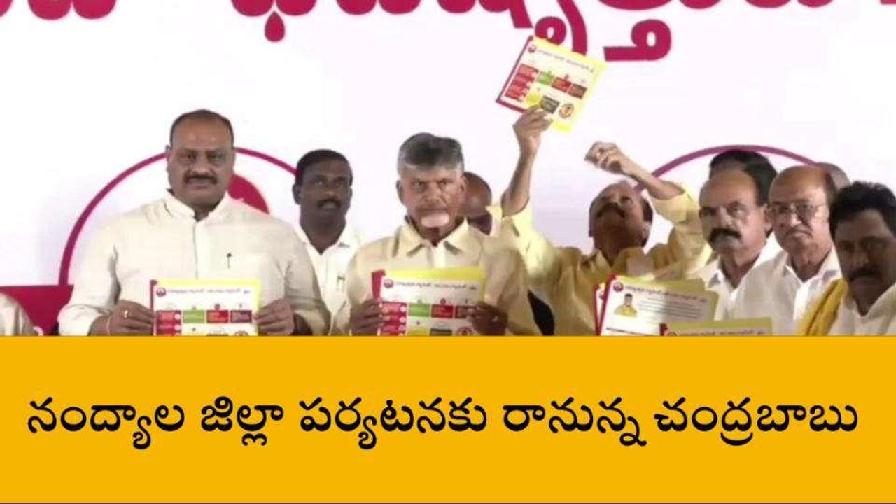 నంద్యాల జిల్లా: చంద్రబాబు జిల్లా పర్యటన ఖరారు... తేదీలు ఇవే..!