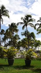 Take a break and follow us in Guadeloupe, in the beautiful Antilles ! ️ Our full vlog is up ! ❤️