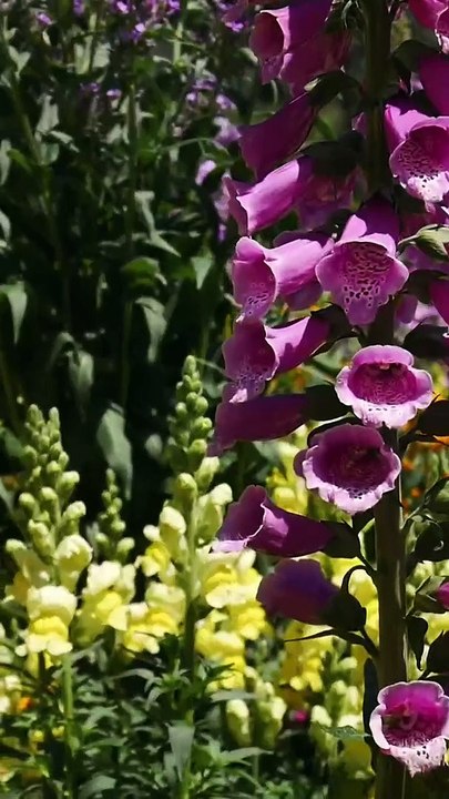 Want to take a break from the city ? Want to see squirrels, ducks and more ? ️ We got the perfect place for you !