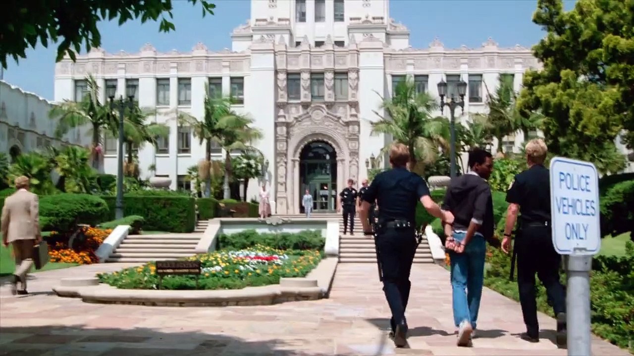 SUPERDETECTIVE EN HOLLYWOOD