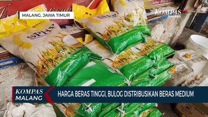 下载视频: Tekan Harga Beras Yang Tinggi, Bulog Malang Distribusikan Beras Medium ke Pasar Tradisional