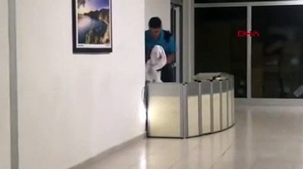 Hastanede Akdeniz engereği paniği! Saatler sonra bulundu