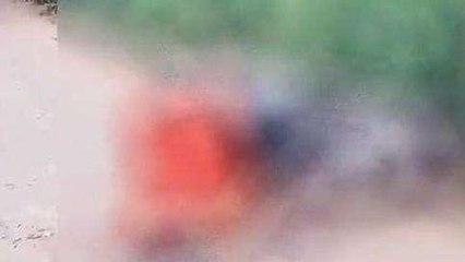 అనకాపల్లి జిల్లా: విషాదం... స్పాట్‌లోనే భార్య మృతి