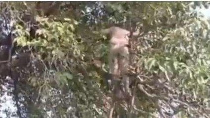 फ़तेहपुर: इस क्षेत्र में मिला था युवक का शव,गमछा खोलेगा मौत का राज