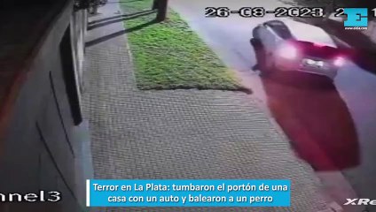 Terror en La Plata, tumbaron el portón