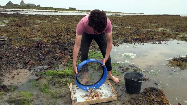Sur l'île bretonne de Béniguet, des archéologues fouillent les poubelles de l'âge du Bronze