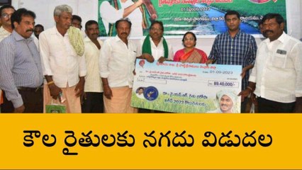 నెల్లూరు జిల్లా: అకౌంట్ లో డబ్బులు పడ్డాయి... చెక్ చేసుకోండి