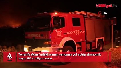 Orman yangınlarının Tenerife'ye maliyeti 80 milyon euroyu aştı
