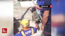 Kırıkkale'de su kuyusuna düşen keçiyi AFAD ve itfaiye kurtardı