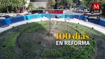 Hace cien días fue plantado un nuevo ahuehuete en Reforma, expertos dicen que está desahuciado