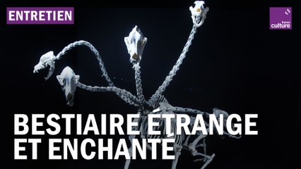 "Art orienté objet" : un duo d'artistes haut en couleurs