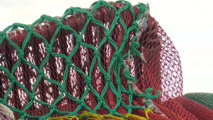 31 aout TOPO PG Bilan saison crevettes
