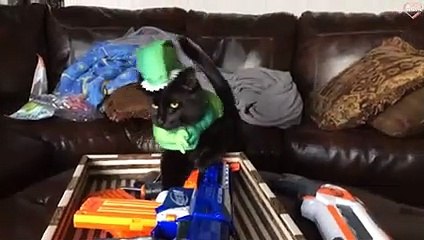 Funny Cats Halloween Costume - Try Not To Get Scared   PETASTIC