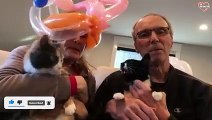 Savage Cats Attacking People - Crazy Cats Behavior - Try Not To Laugh   PETASTIC