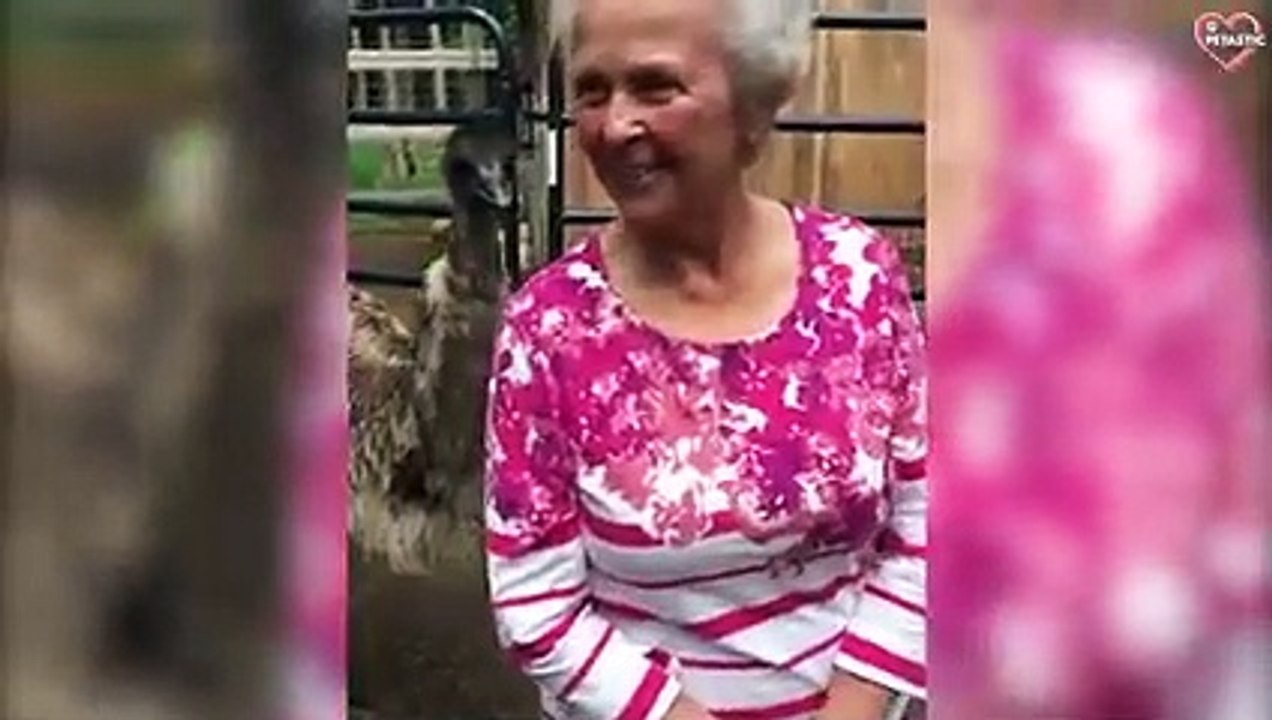 Funny Animals Attacking Moments In Zoo - Best on the Internet   PETASTIC