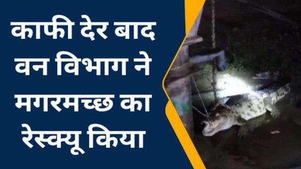 पीलीभीत: गांव में निकला मगरमच्छ तो ग्रामीणों ने सरकारी नल से बांध दिया,देखे वीडियो