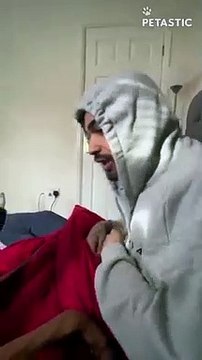 Passionate Boxer Pup Gets Carried Away PETASTIC