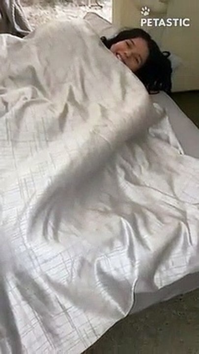 Girl Relaxing With Her Adorable Dog And Puppies   PETASTIC