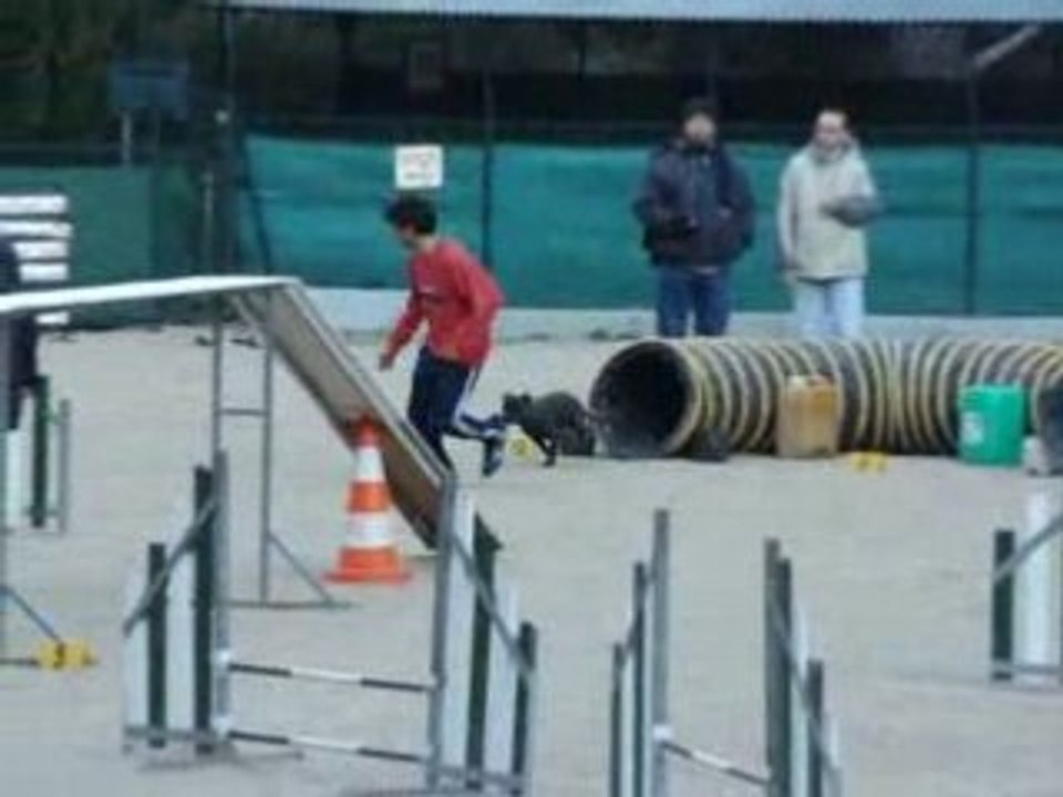 Asian agility ollioules Open