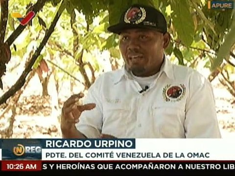 Apure | Productores de cacao solicitan permisología y crédito para industrializar la materia prima