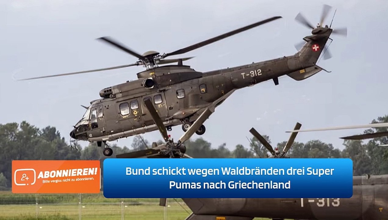 Bund schickt wegen Waldbränden drei Super Pumas nach Griechenland