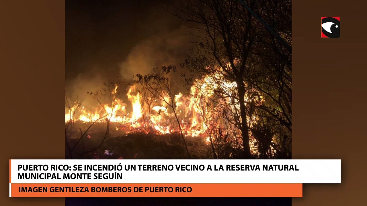 Puerto Rico: Se incendió un terreno vecino a la Reserva Natural Municipal Monte Seguín