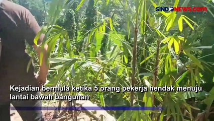 Lift Melesat Kencang hingga Terpental, 5 Pekerja di Bali Tewas