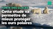 Une étude fait enfin le lien entre émissions de CO2, fonte des glaces et déclin des oursons polaires
