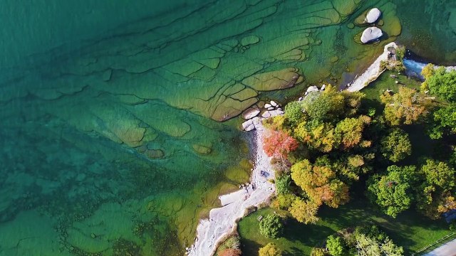 L'Océan vu du coeur Bande-annonce VF