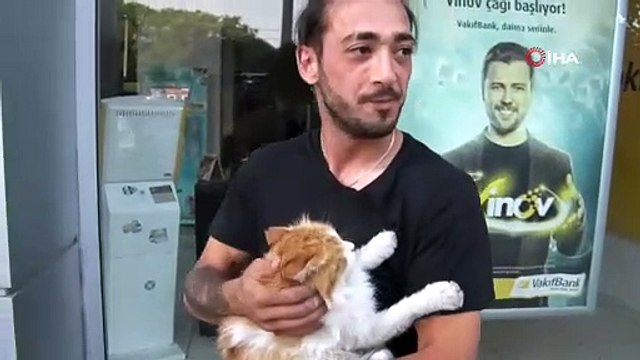 Kediye tekme atan şahsı evire çevire dövdü: İşte o anlar!