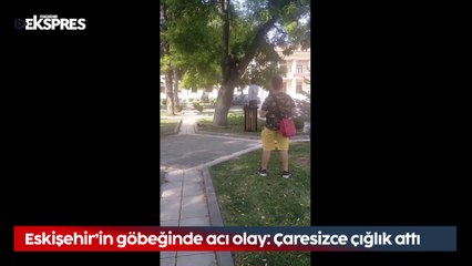 Eskişehir’in göbeğinde acı olay: Çaresizce çığlık attı