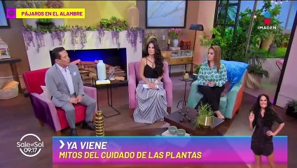 Roberto Cantoral REACCIONA a DEMANDAS contra Ana Bárbara por derechos de autor