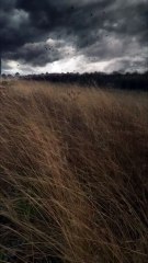A storm rolling in - dark cloud #extremeweather
