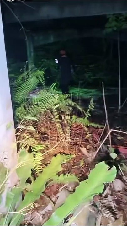Paranormal activity ghost on camera part 213