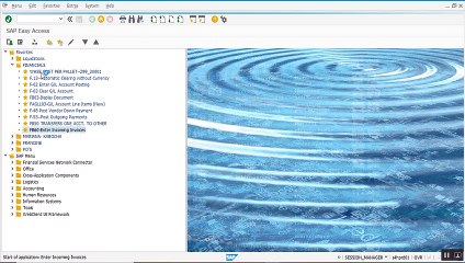 FI Enter incoming invoices