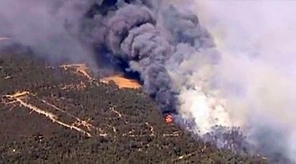 Sydney en proie aux flammes