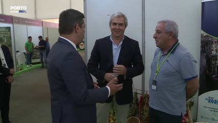 Nuno Melo acusa Governo de falta de investimento estrutural na agricultura