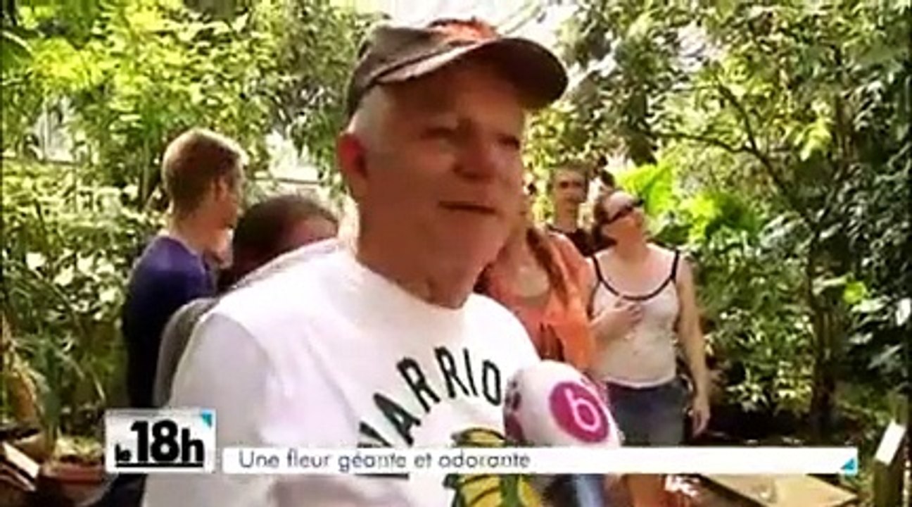 Sitemapcdatahttpshauscellcare1comca Ne Sent Pas La Rose 7 Lettresnull