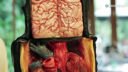 Des cakes en forme de bébés morts, c'est un succès!