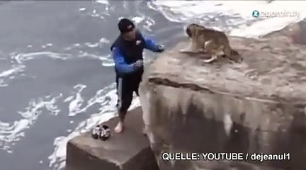 Un joggeur sauve un chien