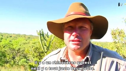 Un safari sur les traces d'un bébé rhinocéros !