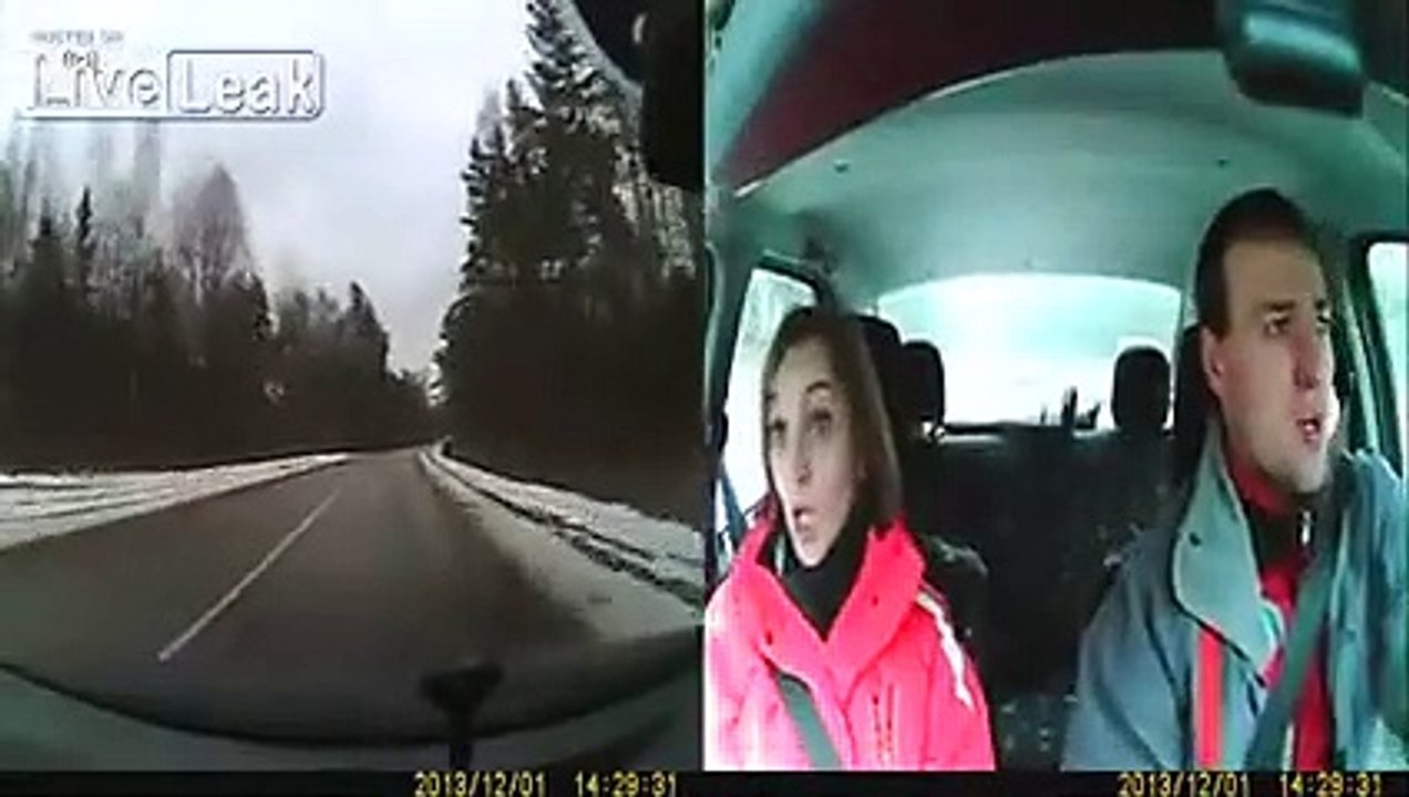 Une énorme collision entre une voiture et un élan, ils s'en sortent indemnes