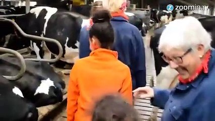 Pleure avec des vaches, c'est garanti anti-stress !