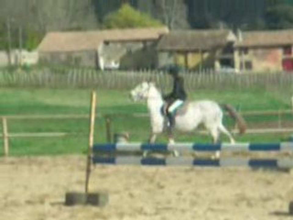 MOii ET MA GROSSE VACHE DAMOUR (L)