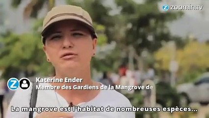 À Cancún, le tourisme de masse ravage l'écosystème