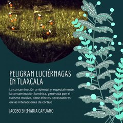 -Jacobo Shemaria Capuano- Peligran luciérnagas en Tlaxcala (parte 1)