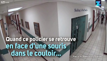 Policier contre souris : qui a le plus peur ?