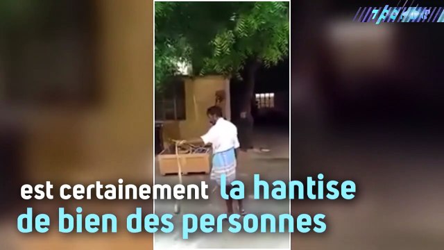 Cet Indien mate les serpents en un clin d'oeil !