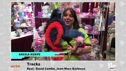 Dérapages, imprévus... le best-of des chiens à la télé !